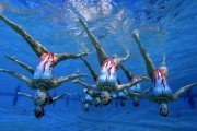 今日NBA赛事盘口赔率分析预测推荐，今日nba比赛集锦