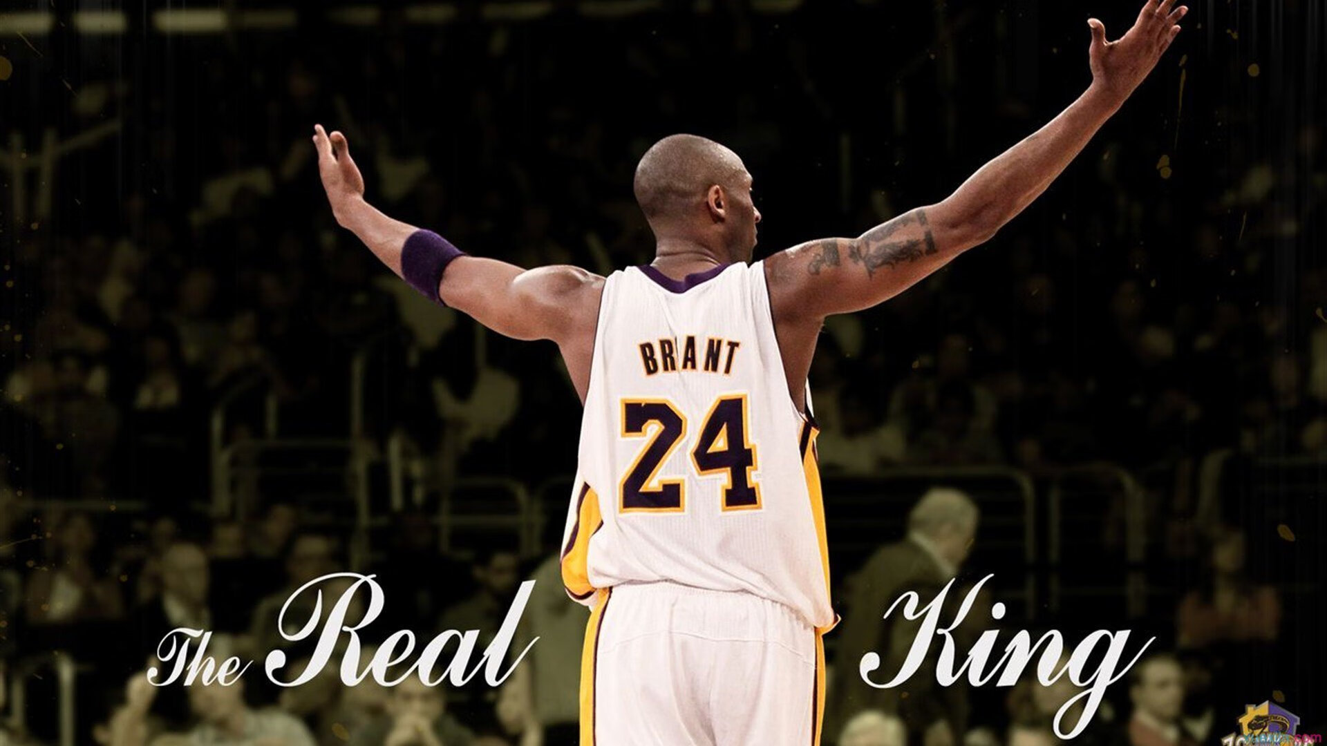 世界杯：各队专属训练球场草皮维护标准与比赛场地一致